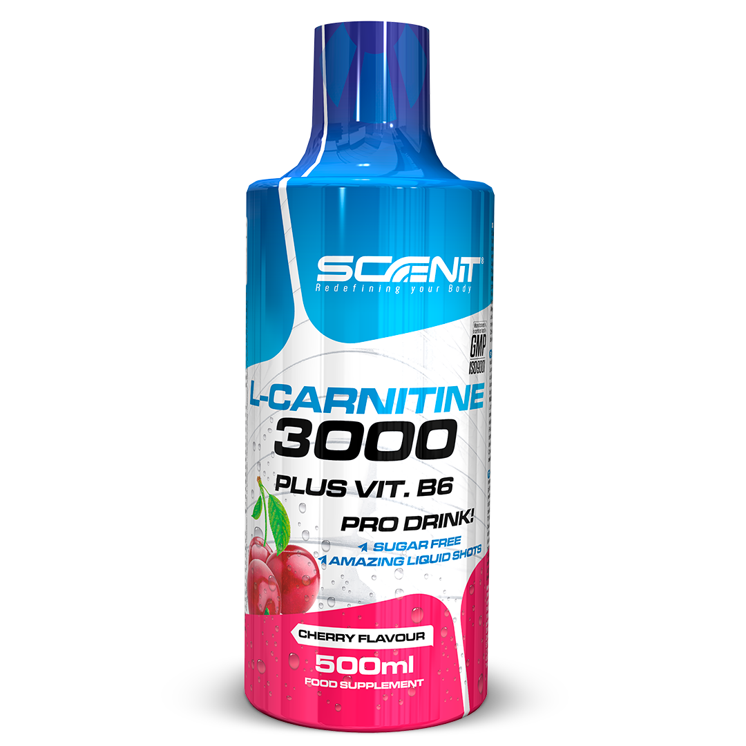 Scenit Nutrition Potenciadores deportivos L-Carnitine 3000 + Vitamina B6 liquido 500 ml