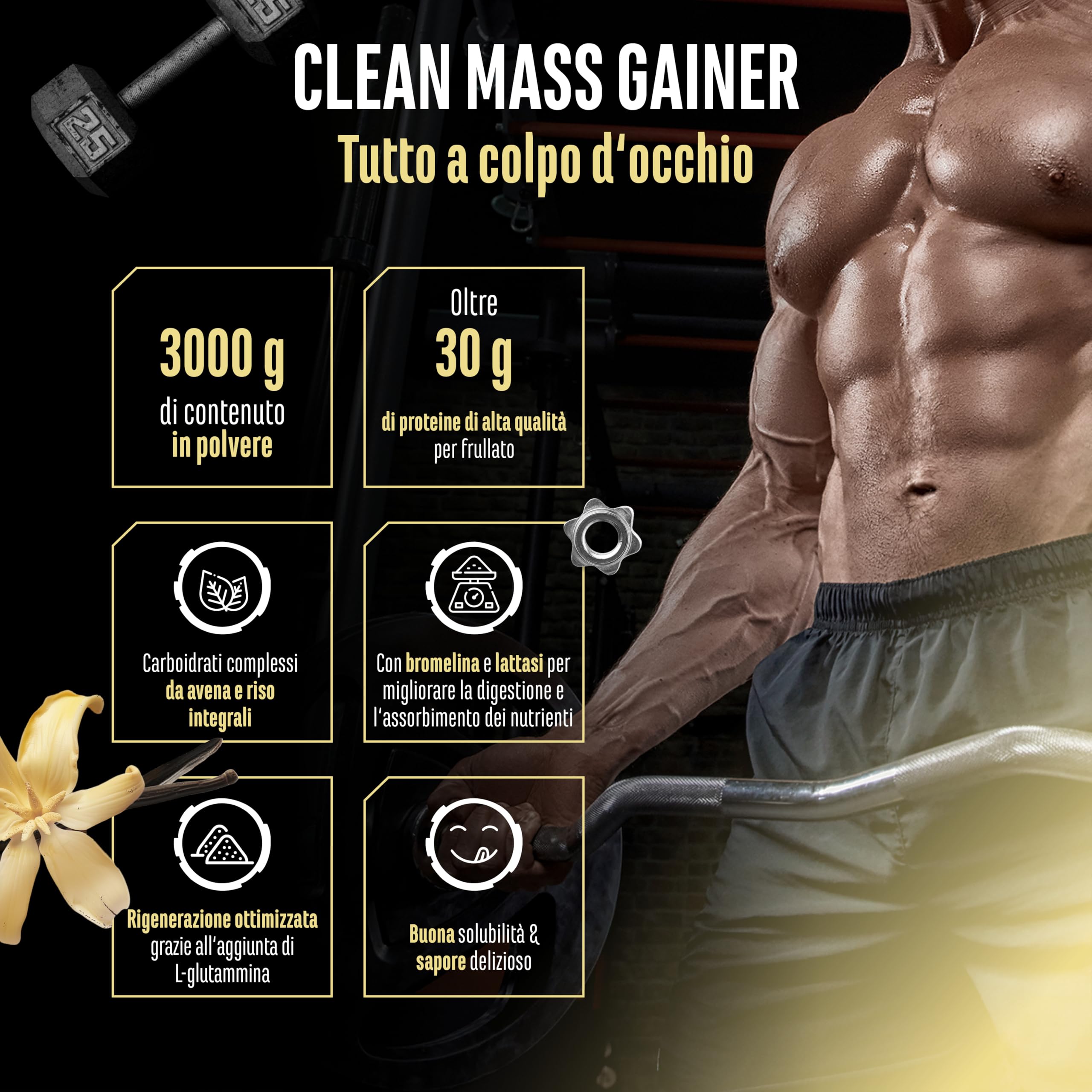 Elite Carbs & Mass Gainers Clean Weight Gainer gainer Vaniglia 3 kg 36 g proteine