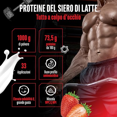 Elite Whey Protein Whey Proteine Complesso 1000 g Latte alla Fragola BCAA