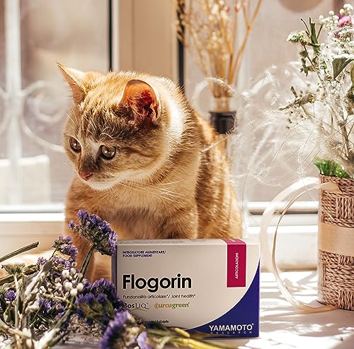YAMAMOTO Muscoli, Articolazioni e Ossa Flogorin integratore articolare 30 compresse vegano