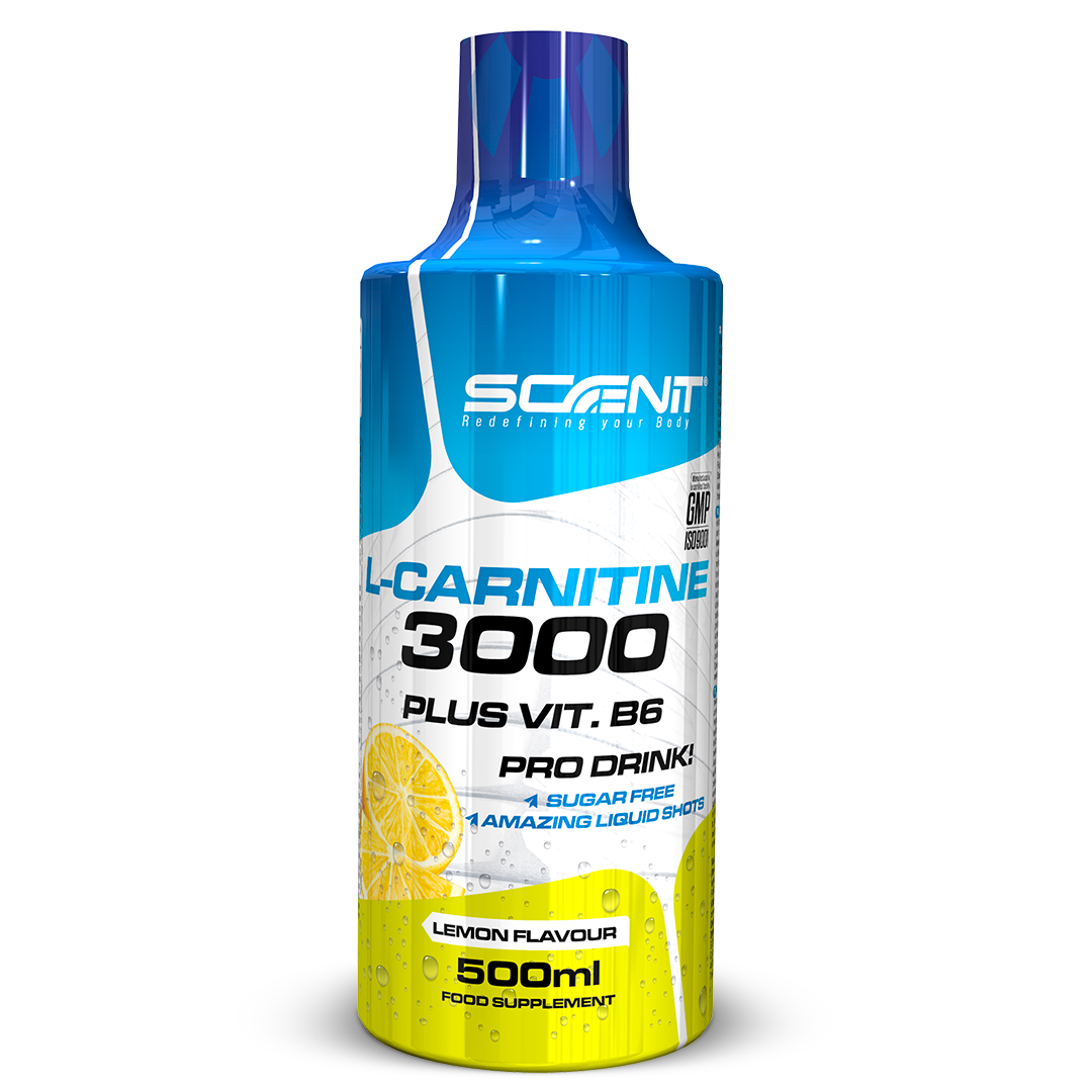 Scenit Nutrition Potenciadores deportivos L-Carnitine 3000 + Vitamina B6 liquido 500 ml