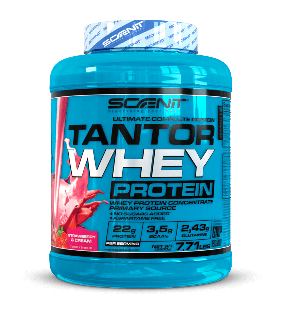 Scenit Nutrition Tantor Whey Protein proteine 908 g Chocolate con creatina