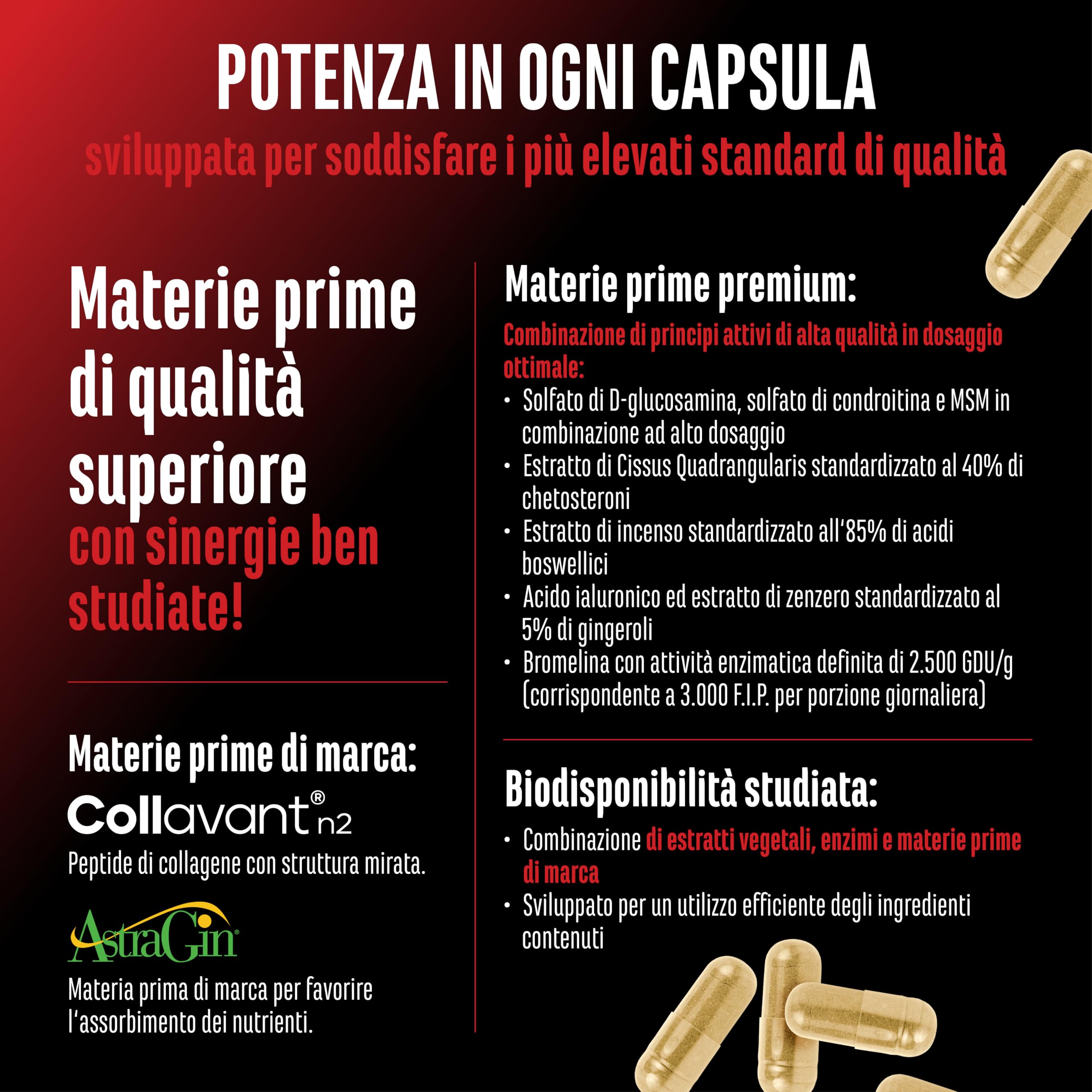 Elite Organ, Joint & Health Support Bone Force complesso articolare 180 capsule senza glutine
