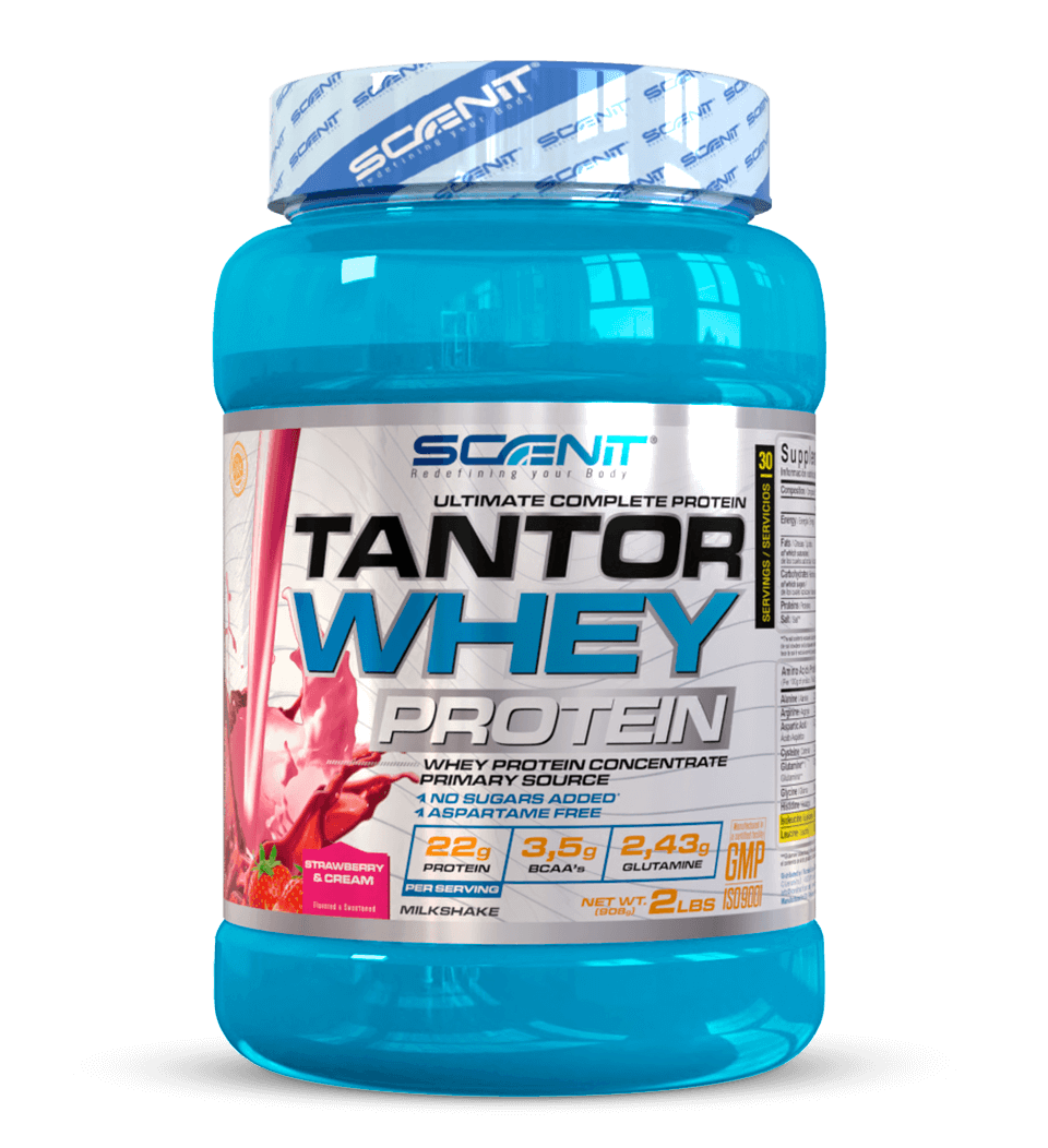 Scenit Nutrition Tantor Whey Protein proteine 908 g Chocolate con creatina