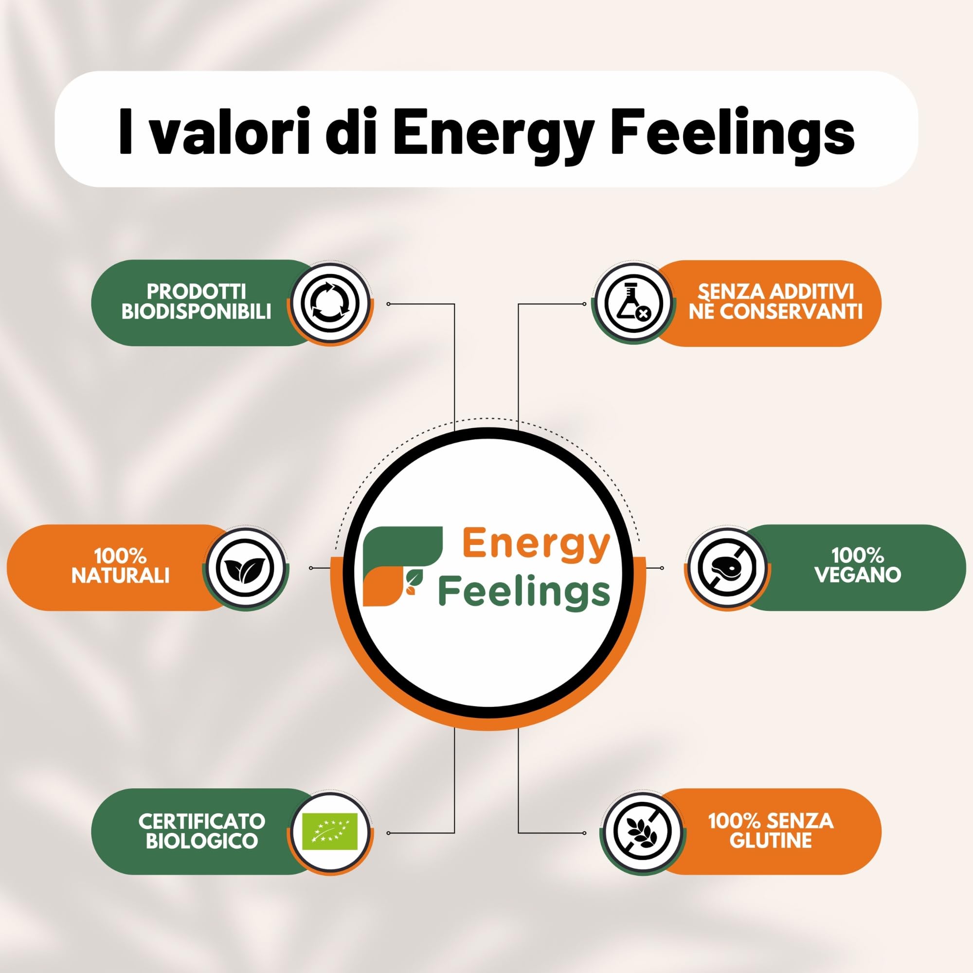 Energy Feelings Dietética & Suplementos Latte di Cocco in Polvere Bio 1 kg senza lattosio