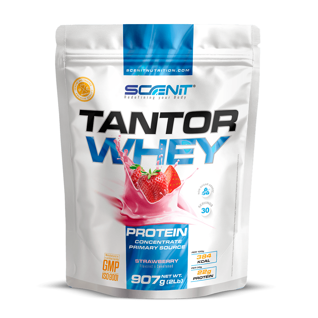 Scenit Nutrition Tantor Whey Protein proteine 908 g Chocolate con creatina