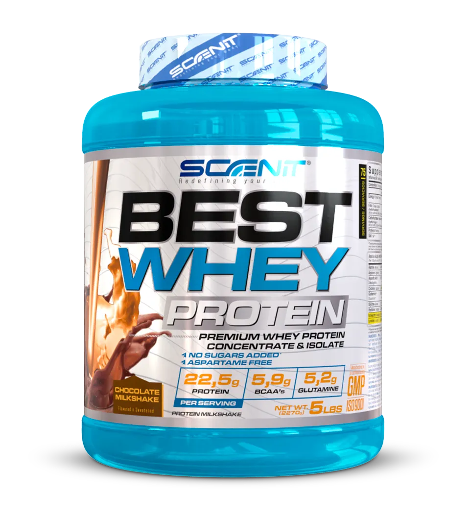 Scenit Nutrition Proteine Best Whey Protein proteine whey Biscotto 908 g, 77 g proteine
