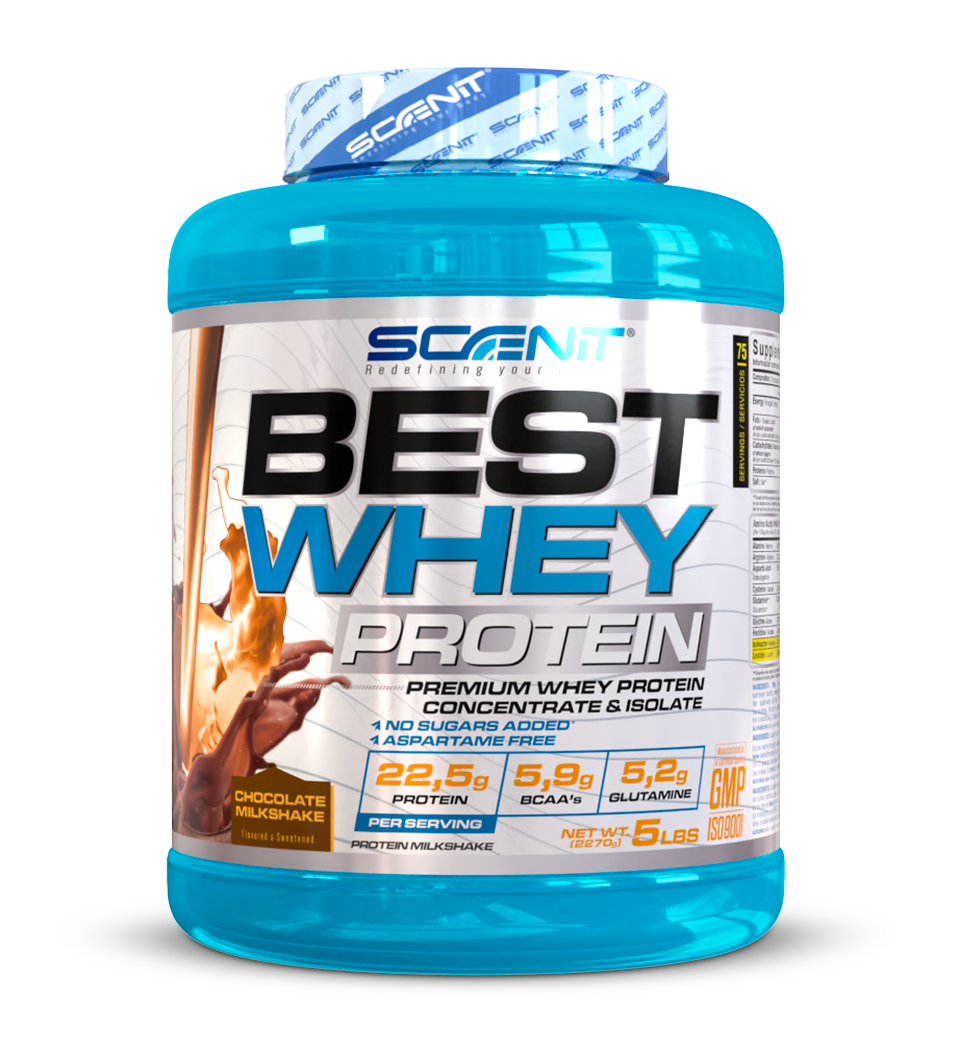 Scenit Nutrition Proteine Best Whey Protein proteine whey Biscotto 908 g, 77 g proteine