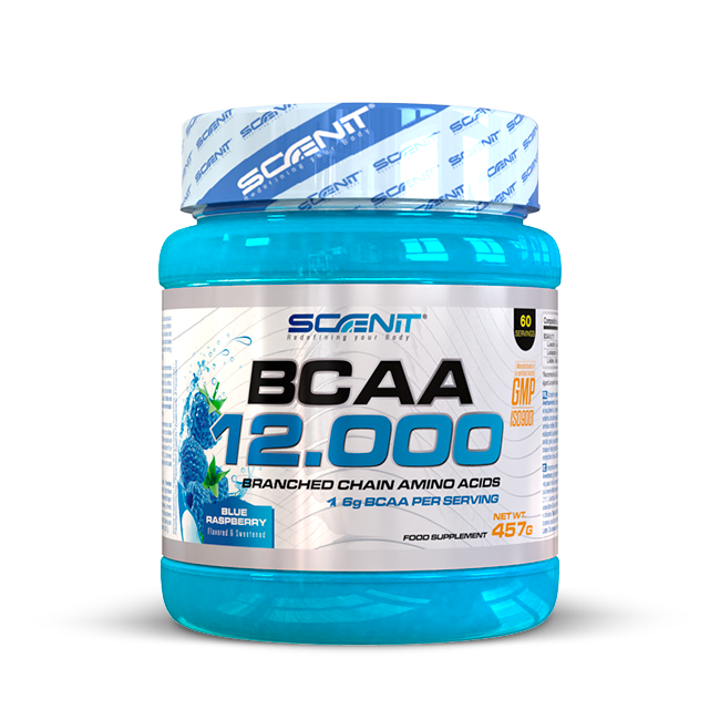 Scenit Nutrition Aminoácidos BCAA 12000 aminoacidi in polvere Blue raspberry 457 g 2:1:1
