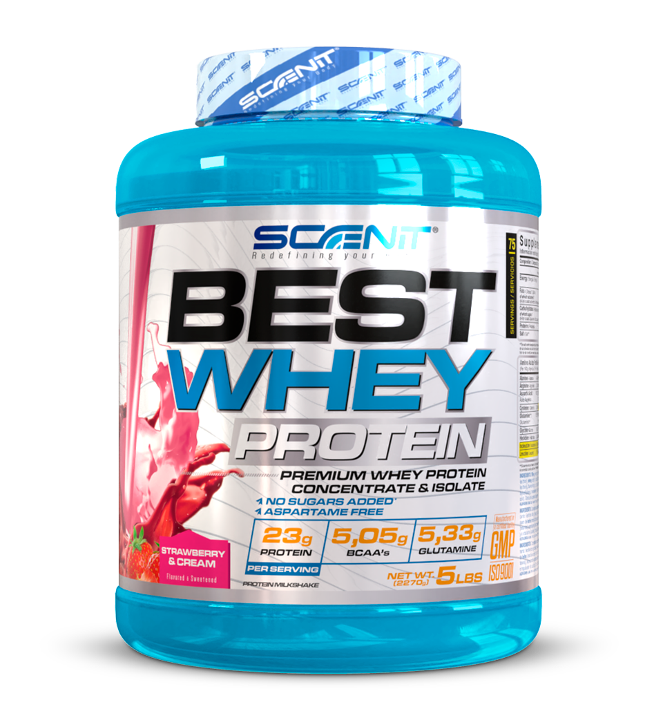 Scenit Nutrition Proteine Best Whey Protein proteine whey Biscotto 908 g, 77 g proteine