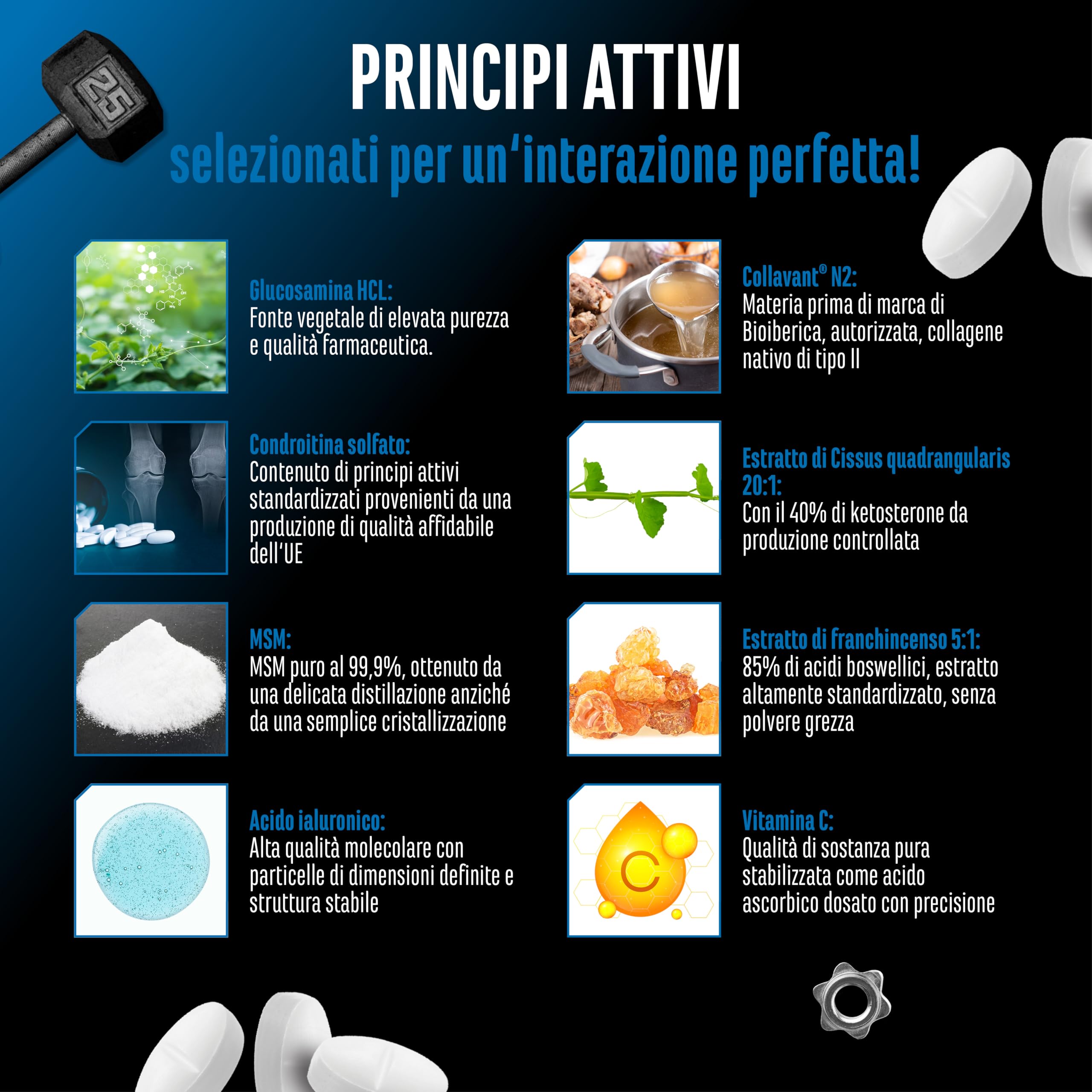 Elite Organ, Joint & Health Support Joint Essentials integratore 180 compresse senza glutine