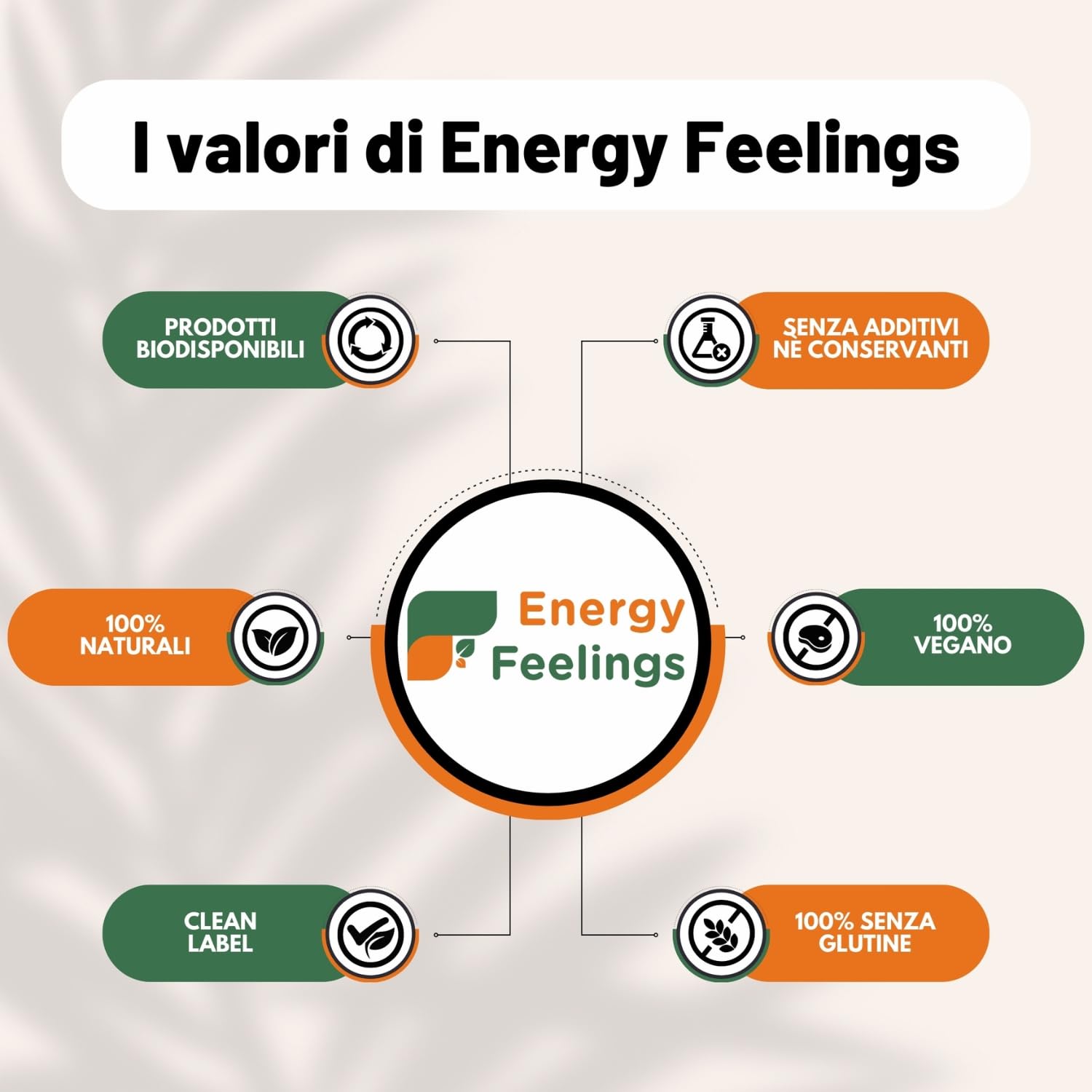 Energy Feelings Proteine di Riso in Polvere BIO proteine vegane 82% senza sapore 1 kg