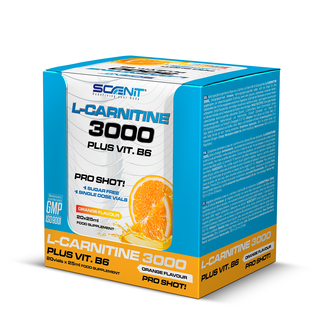 Scenit Nutrition Potenciadores deportivos L-Carnitine 3000 + Vitamina B6 shot 20 x 25 ml arancia