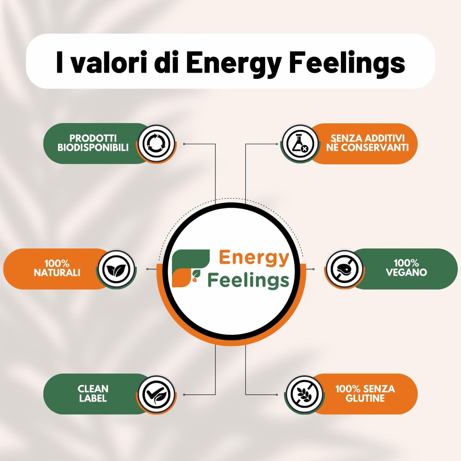 Energy Feelings Menú Veggie & Proteína Texturizada Veggiegg Bio sostituto uovo 360 g senza glutine