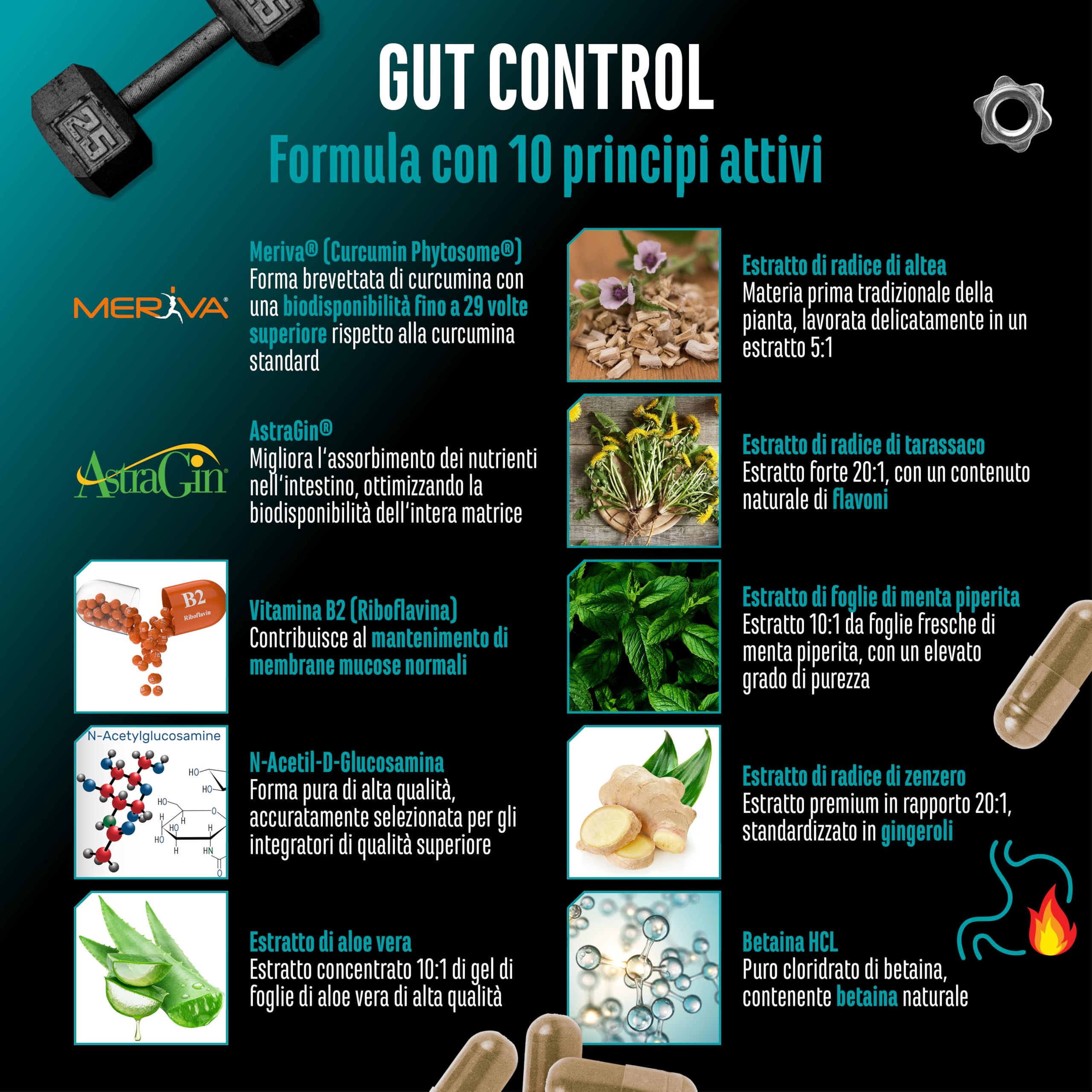Elite Organ, Joint & Health Support Gut Control capsule 120 vegane