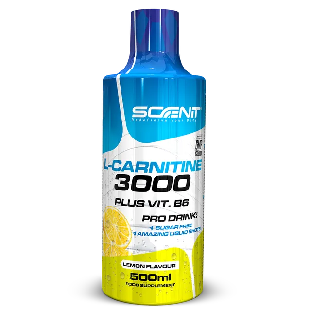 Scenit Nutrition Potenciadores deportivos L-Carnitine 3000 + Vitamina B6 liquido 500 ml