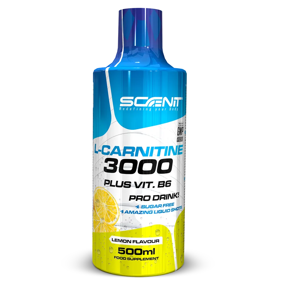 Scenit Nutrition Potenciadores deportivos L-Carnitine 3000 + Vitamina B6 liquido 500 ml