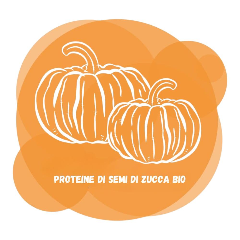 Energy Feelings Proteine Vegane di Zucca Bio proteine 1 kg biologiche