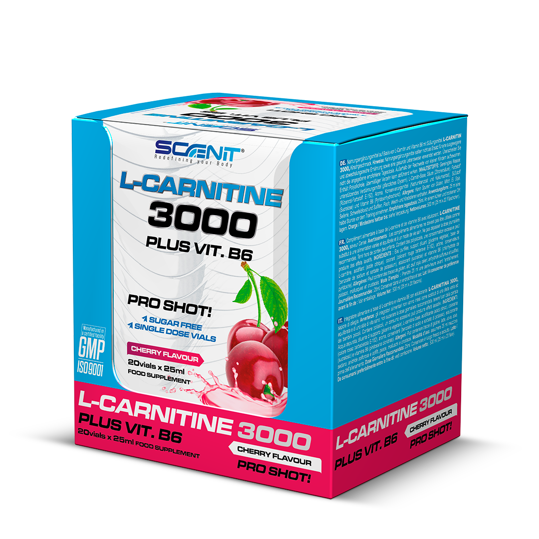 Scenit Nutrition Potenciadores deportivos L-Carnitine 3000 + Vitamina B6 shot 20 x 25 ml arancia