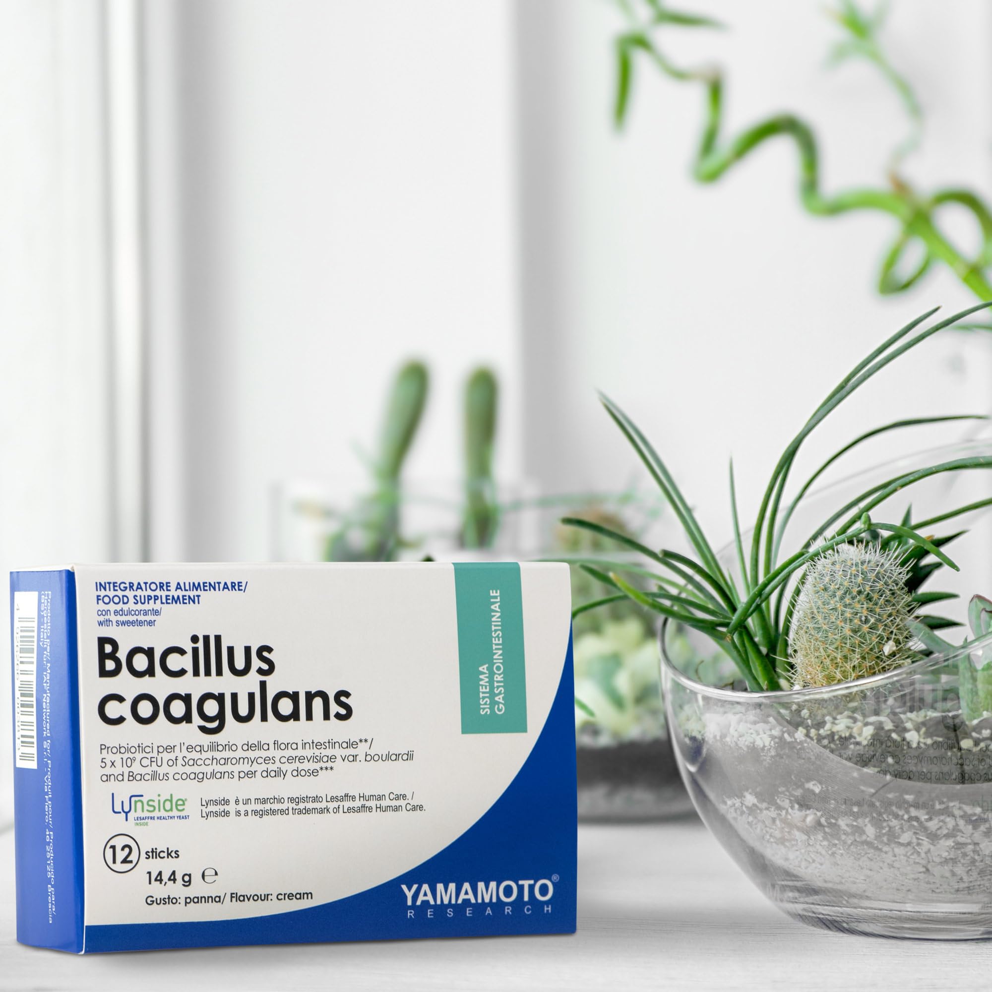 Yamamoto Bacillus Coagulans Lynside Pro SCB probiotici 12 stick panna