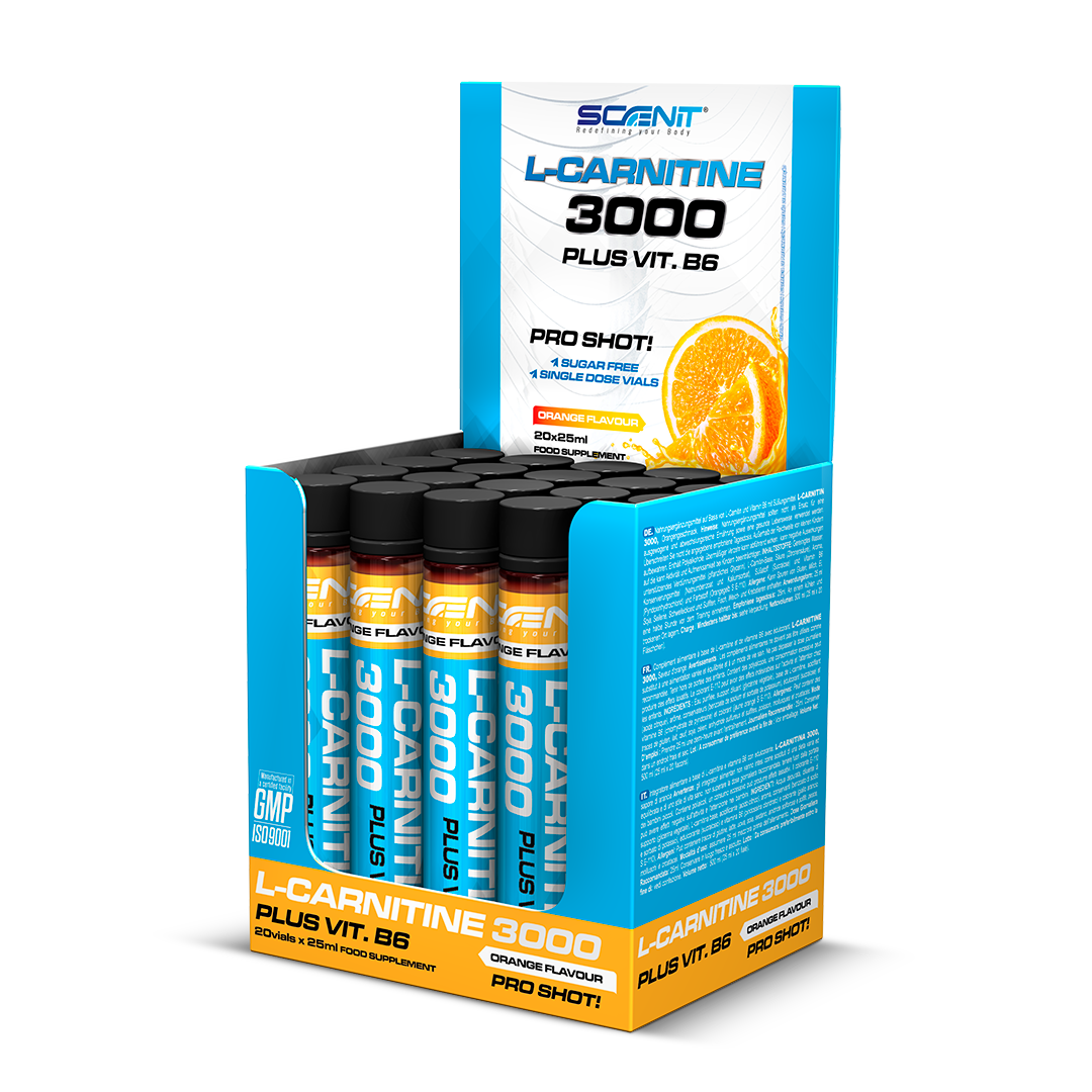 Scenit Nutrition Potenciadores deportivos L-Carnitine 3000 + Vitamina B6 shot 20 x 25 ml arancia