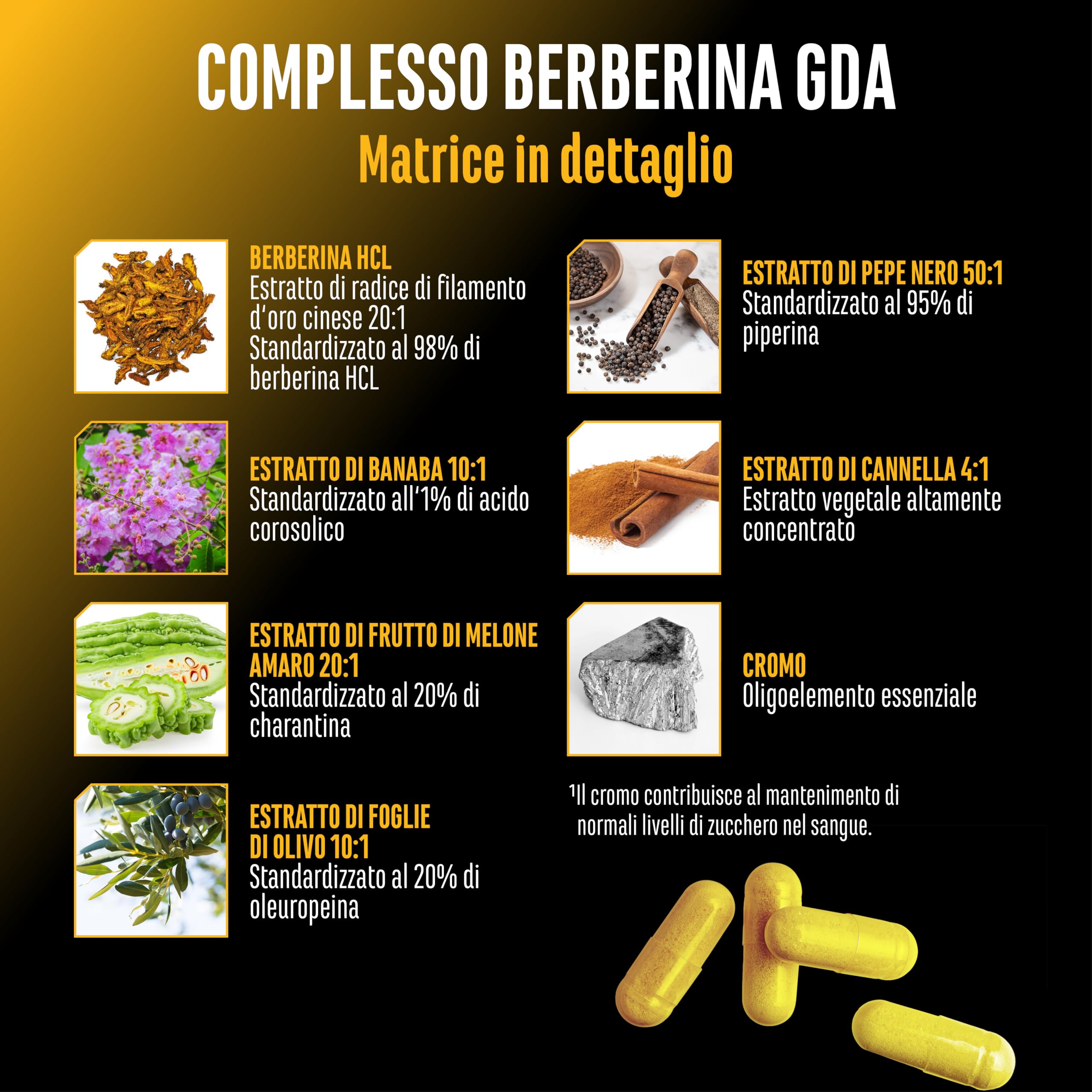 Elite Organ, Joint & Health Support Complesso di Berberina HCL 120 capsule 1120 mg