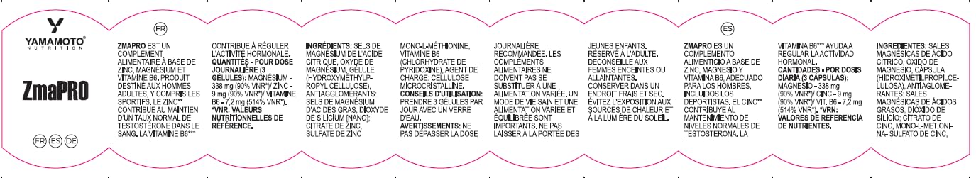 YAMAMOTO Vitamine e Minerali ZmaPRO integratore 120 capsule zinco e magnesio