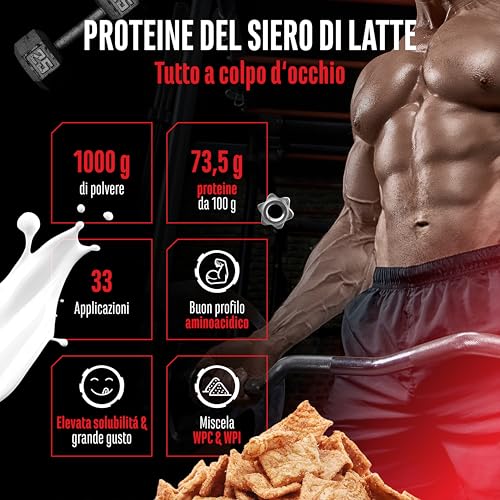 Elite Whey Protein Complex proteine in polvere 1 kg cereali alla cannella, mix WPC e WPI