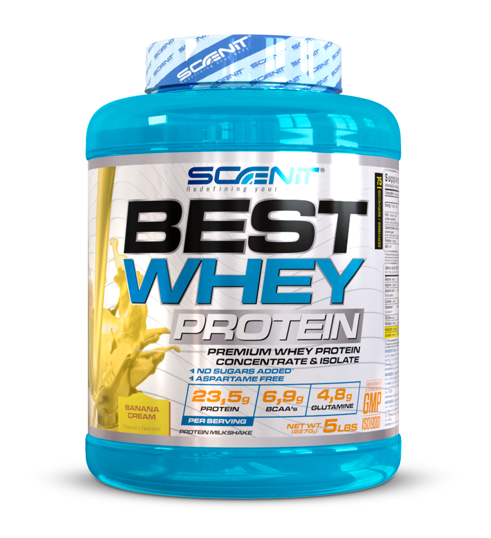 Scenit Nutrition Proteine Best Whey Protein proteine whey Biscotto 908 g, 77 g proteine