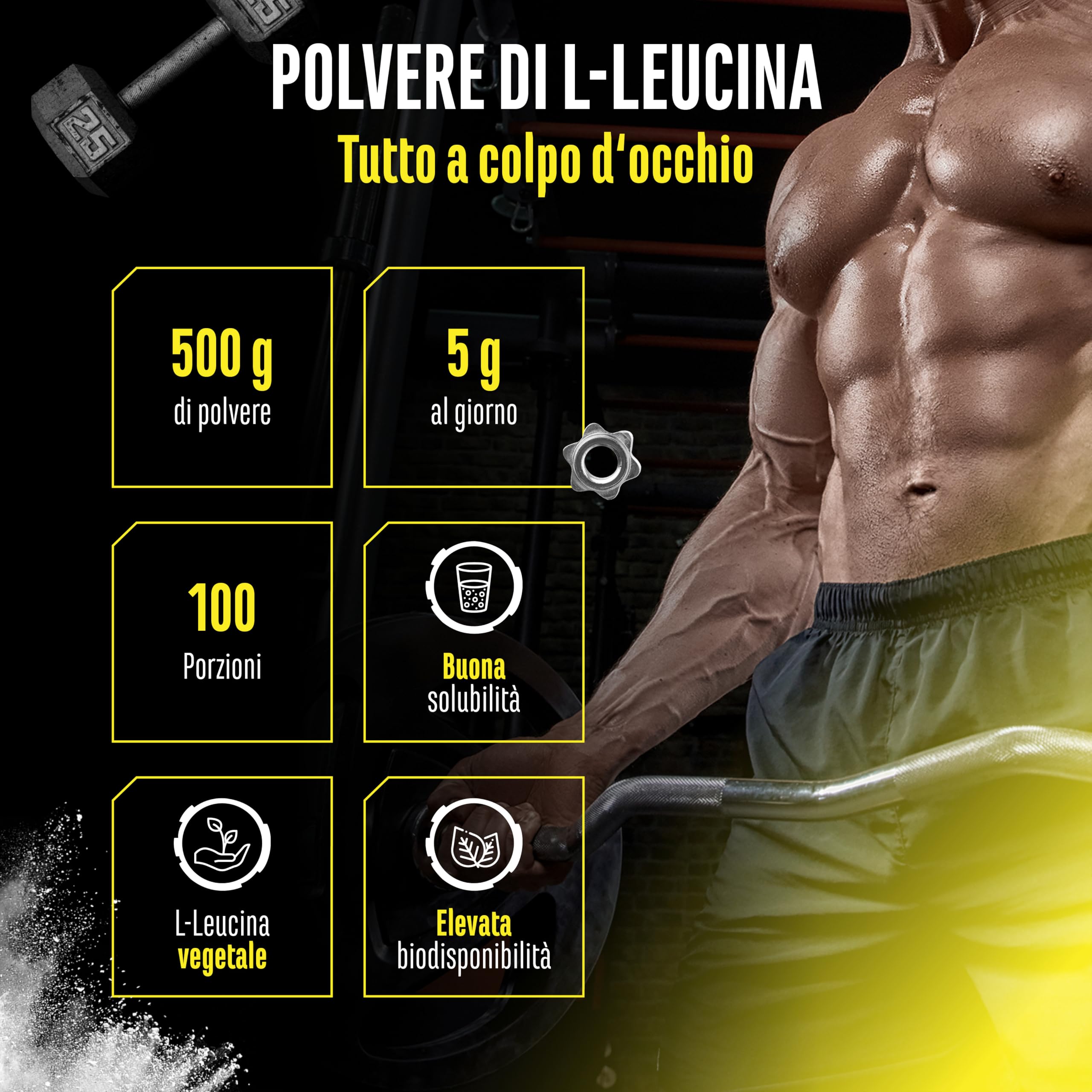 Elite Amino Singles Leucina polvere 500 g alta purezza
