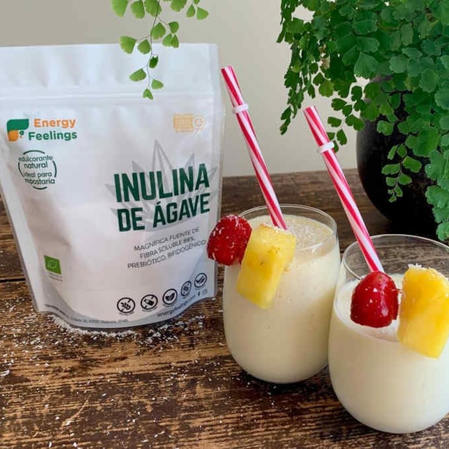Energy Feelings Endulzantes naturales Inulina da Agave inulina 1 kg biologica