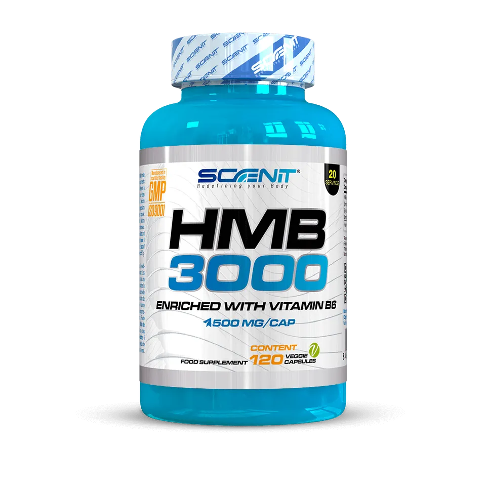 Scenit Nutrition Potenziatori sportivi HMB 3000 con Vitamina B6 capsule vegane 120
