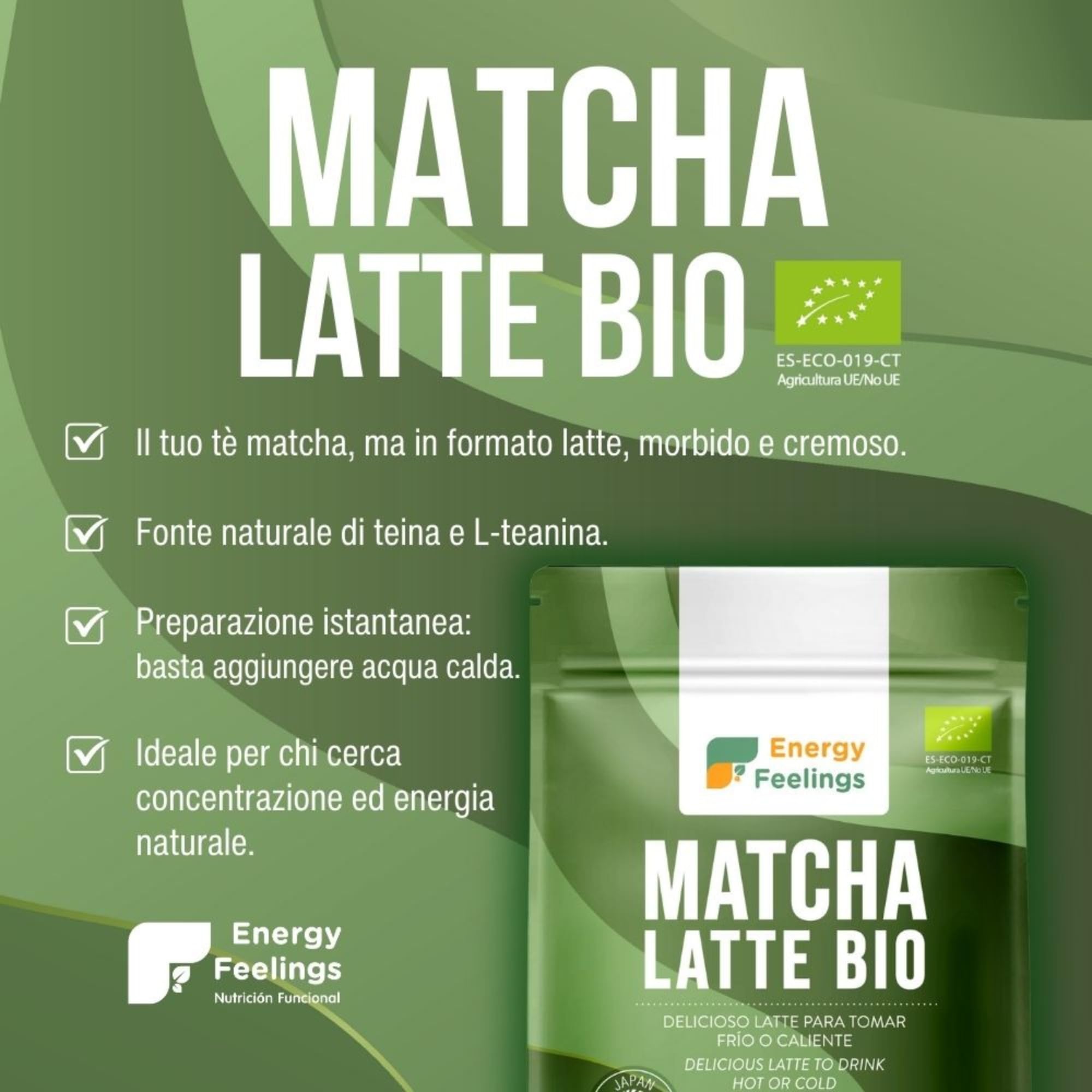 Energy Feelings Batidos Saludables Matcha Latte bevanda matcha bio 200 g vegana