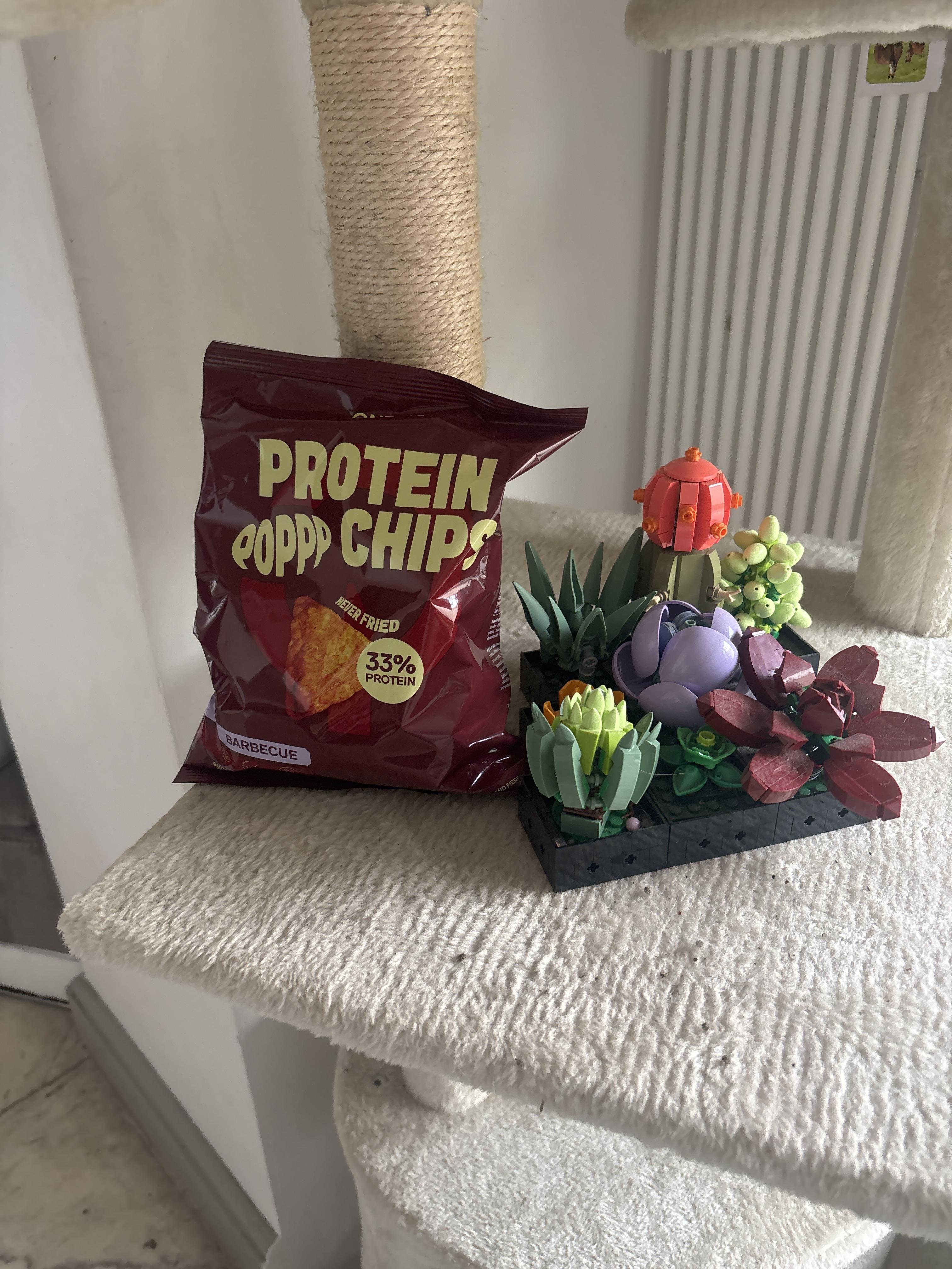 QNT Protein Bars Protein Chips snack barbecue 12 x 50 g 33% proteine