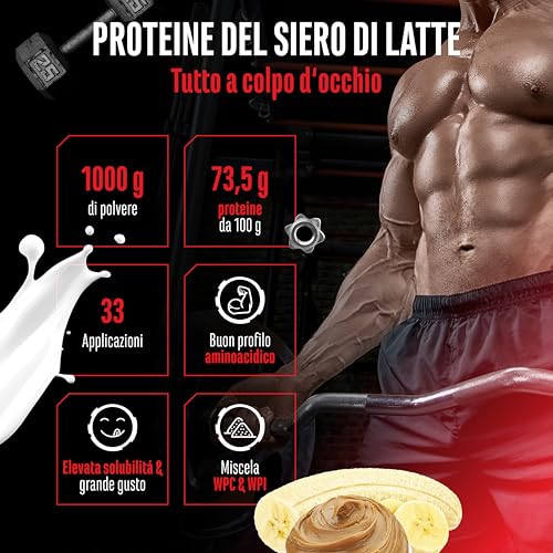 Elite Whey Protein Whey Proteine Complesso whey protein 1000 g burro di arachidi e banana isolato