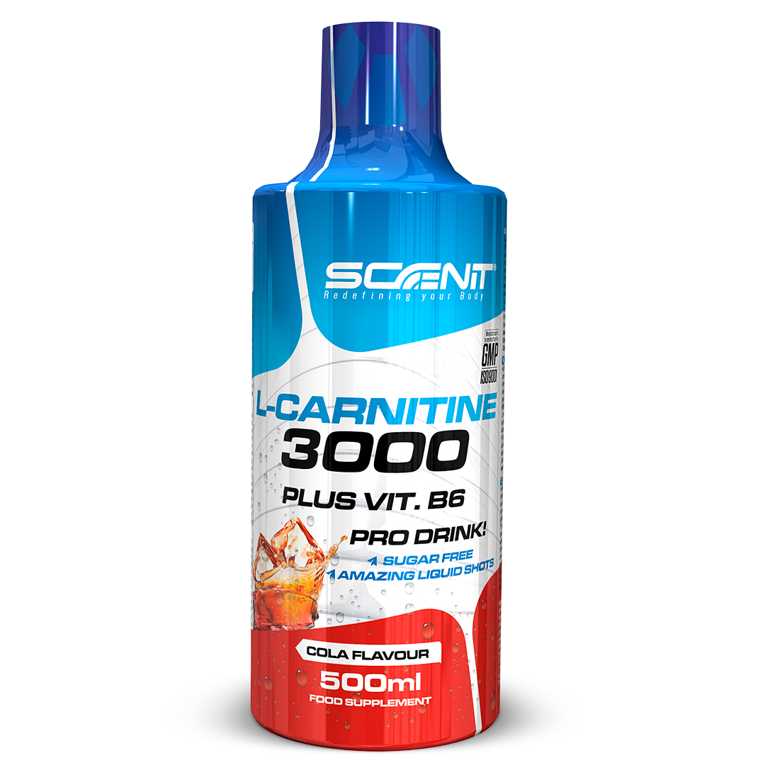 Scenit Nutrition Potenciadores deportivos L-Carnitine 3000 + Vitamina B6 liquido 500 ml