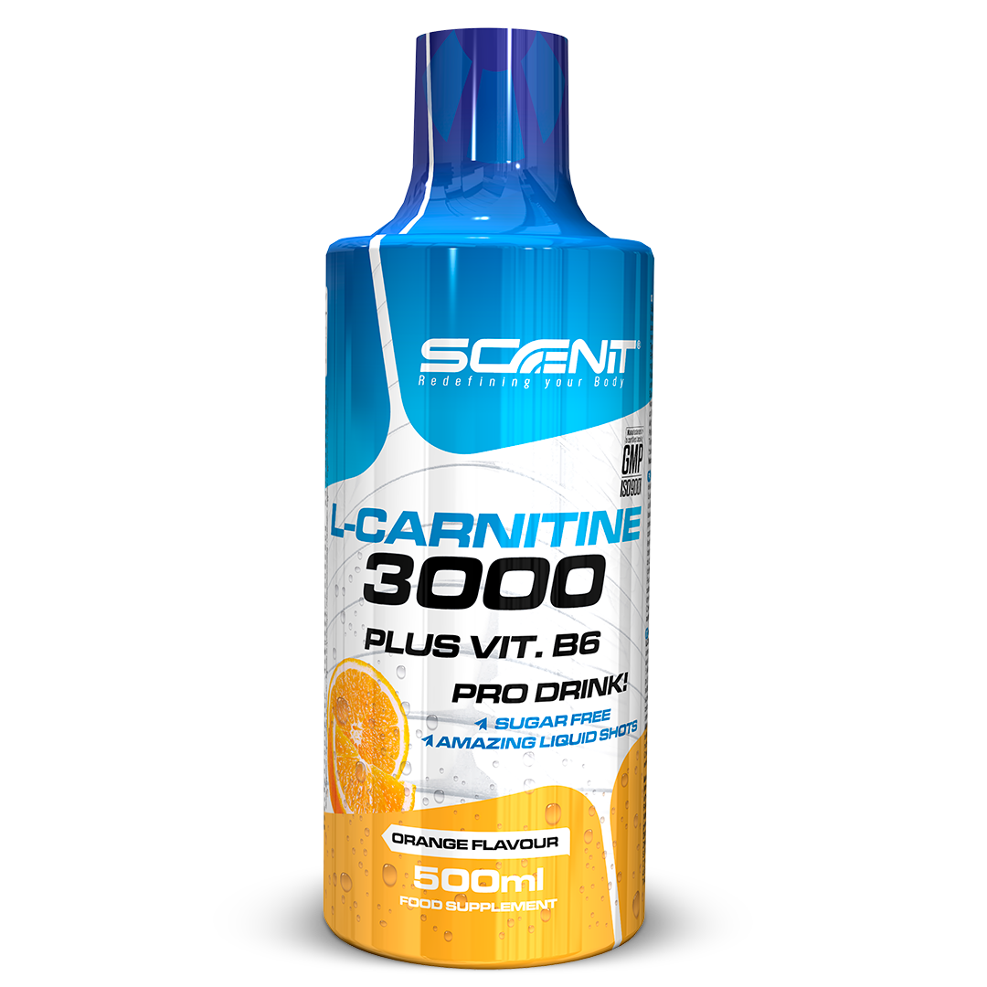 Scenit Nutrition Potenciadores deportivos L-Carnitine 3000 + Vitamina B6 liquido 500 ml